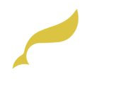 owlmarketingdigital